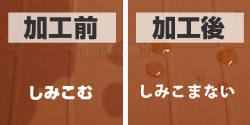 ���H�O��ʐ^